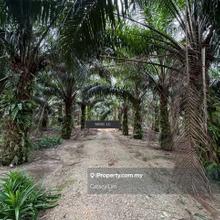 2.72 Acres Land Kg Perepat Kapar Jalan Kebun Baru Kapar 
