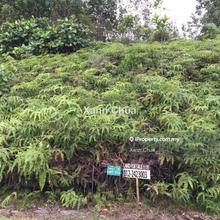 Equine Seri Kembangan Bungalow land for Sale