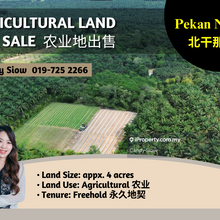 Pekan Nanas Ulu Choh 4 acres Agriculture Land