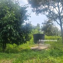 Mambau/Seremban/Negeri Sembilan/Durian land/4.8 acre