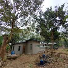 2.9 acres Karak (Behind Tamil School) Mk Durian Land for Sale
