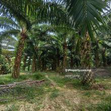 500 acres Rompin Keratong Psk Land For Sale