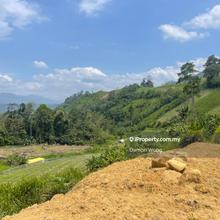 Nice land with clear river in Bukit Tinggi