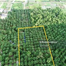 Tanah Sawit 2 Ekar @ Bukit Changgang, Banting Untuk Dijual