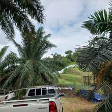 Mawai Kota Tinggi Johor Agricultural Land For Sale 
