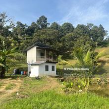 Agriculture land for Sale