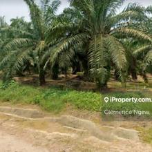 Johor Oil Palm Land For Sale