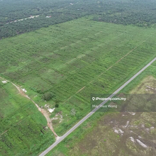 Former Pineapple Plantation Land for rental 