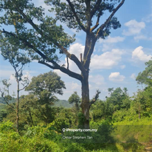 Land @ Hulu Yam, Batang Kali, Hulu Selangor 