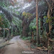 Agricultural Land for sale