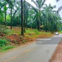 Jalan Banting, Dengkil, Sepang, Agriculture Land For Sale