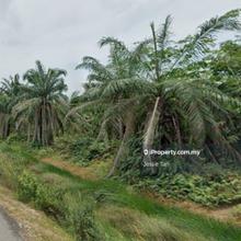 For Sale Parit Haji Yusod Benut Pontian Oil Palm Land