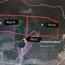 Golden Opportunity: Residential Land Available in Pekan Panchor