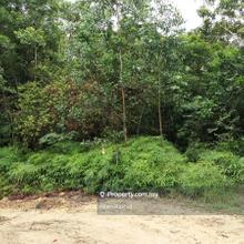 Spacious 3.91 Acres Agricultural Land Ecrl Gombak, Gombak