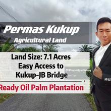 Kukup Oil Palm Land