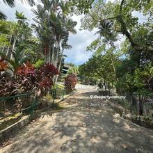 Bukit Tunku Kenny Hills Residential Land For Sale 