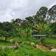 Agriculture Land Kajang, Sungai Long