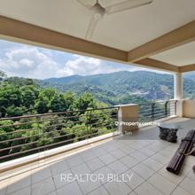 Best Green Mountain Uninterrupted View - Fully Renovated 