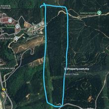 Rantau, Kuala Sawah, Negeri Sembilan, road site, Palm oil, 63 acres, 