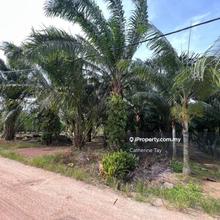 Agriculture Land Jalan Parit Bilis Grisek Johor