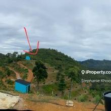 The Valley Agriculture land Stunning View Homestay Investment Karak