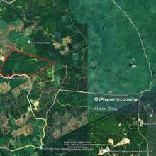 636 acres agriculture land @ Sabah, Paitan, Beluran