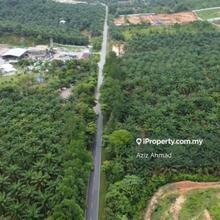 Freehold Zoning Perumahan Tanah Pertanian di Padang Tembak Kluang