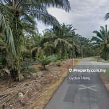 Batu27.5 Parit Pasir Pekan Nanas