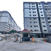 Auction Date: 12-Aug-2025 (Tuesday)
