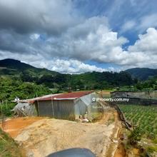 Agriculture land for Sale