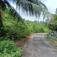 Agriculture Land for sales