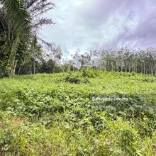 Sungai Siput 8acres Freehold Agriculture Land For Sale
