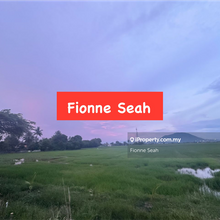 Permatang Pauh  First Grade Commercial Land For Sale