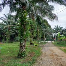 Jimah Agriculture For Sale