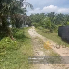 Cheap! 2.5 Acres Freehold @ Banting Morib Mukim Batu Agricultural Land