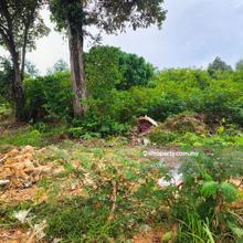 Plentong Industry Land for Sale