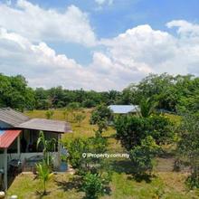 Orchard For sale Rawang (kg Air itam)