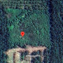 3.1 acre Big Potential Agricultural Land Manjung Perak