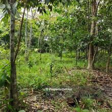 Kota Tinggi 3 Arces Agriculture Land For Sale