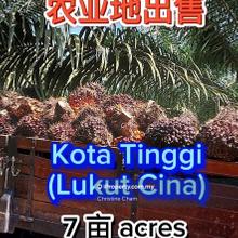 Kota Tinggi, Lukut - Agriculture Land for Sale