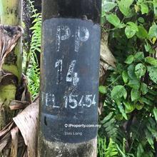 Agriculture land for sale Kukup, Pontian, Johor