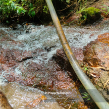 Durian Orchard with Stream @ Bernam River, Tanjung Malim, Perak 