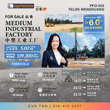 Newly Detached Factory at Telok Panglima Garang for sale