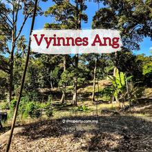 Agricultural Land in Pantai Acheh,Balik Pulau For Sale