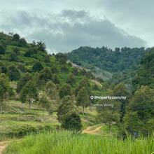 Agriculture land for Sale