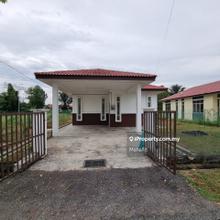 Pea1221 Mahafiz