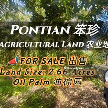 Pontian Oil Palm Land For Sale