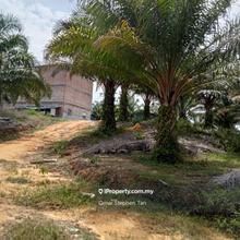 Oil Palm Land @ Setiu, Terengganu
