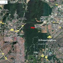 Malay Reserve&Freehold Agriculture Land For Sale