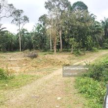 Dungun, Terengganu - Agriculture Land